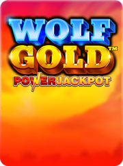 Netbet 40 Power Hot
