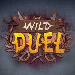 Wild Duel-bg