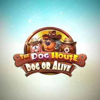 The Dog House – Dog or Alive-bg