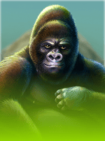 Silverback Multiplier Mountain-bg