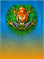 Frog's Gift-bg