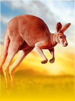 Kangaroo Land-bg