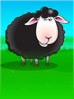 Bar Bar Black Sheep-bg