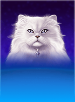 Kitty Glitter-bg