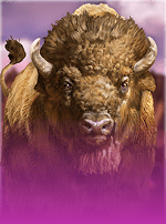 Big Bad Bison-bg