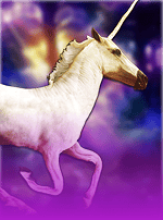 Wild Unicorns-bg