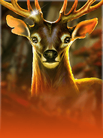 Queen Of The Forest - Autumn Kingdom-bg