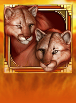 Cats-bg