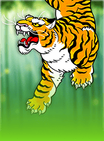 Tiger Rush-bg