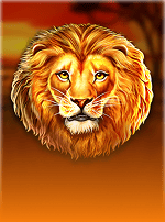 Safari King-bg