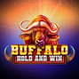 Buffalo Hold and Win