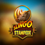 Slingo Stampede