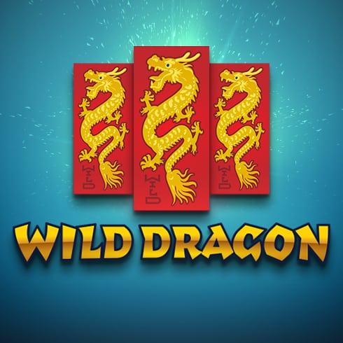 Wild Dragon