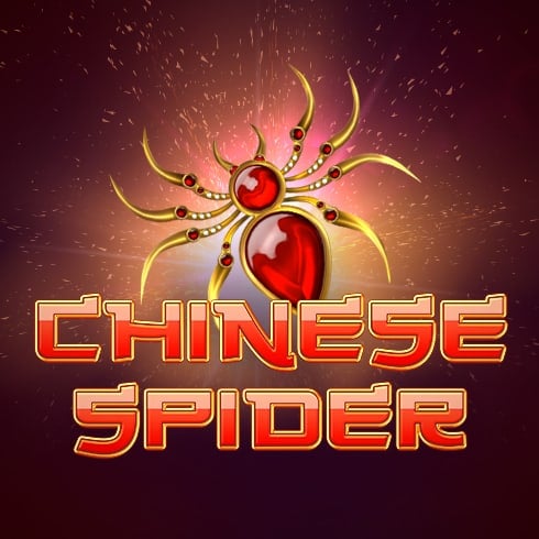 Chinese Spider
