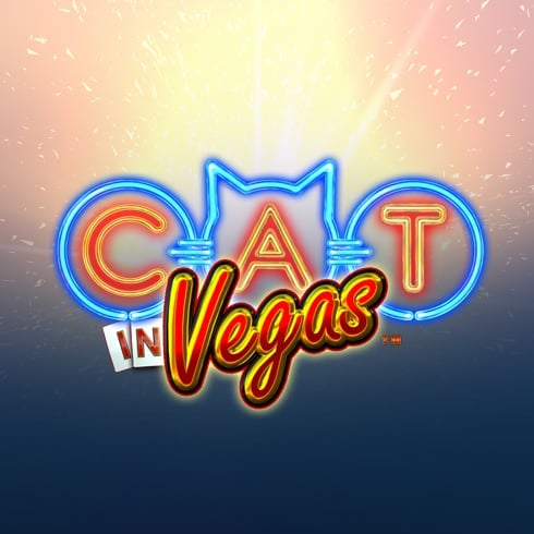 Cat in Vegas
