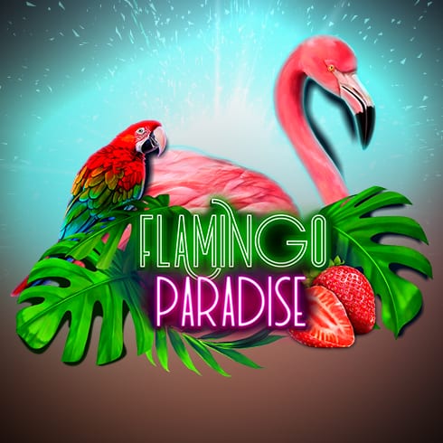 Flamingo Paradise