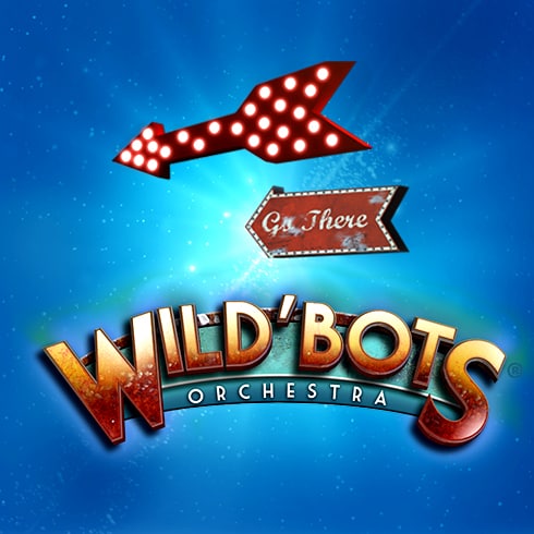 Wild'Bots Orchestra