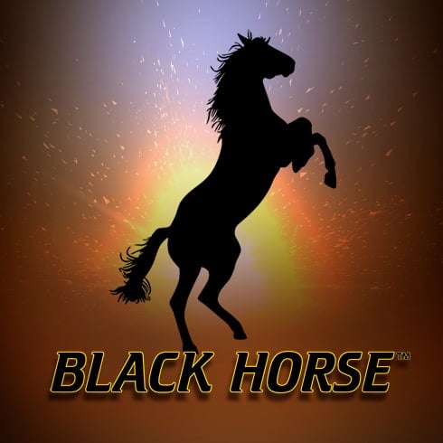 Black Horse