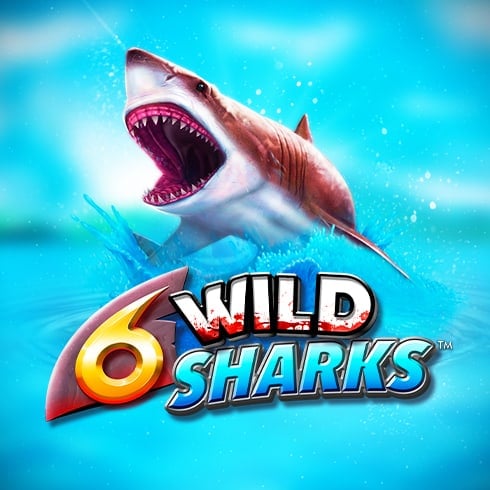6 Wild Sharks