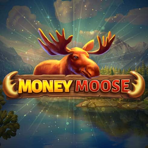 Money Moose