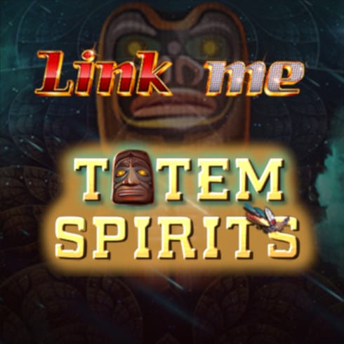 Link Me Totem Of Spirit