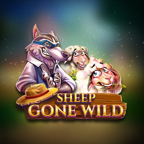 Sheep Gone Wild