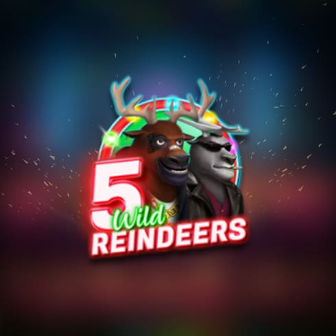 5 Wild Reindeers