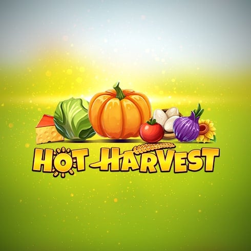 Hot Harvest