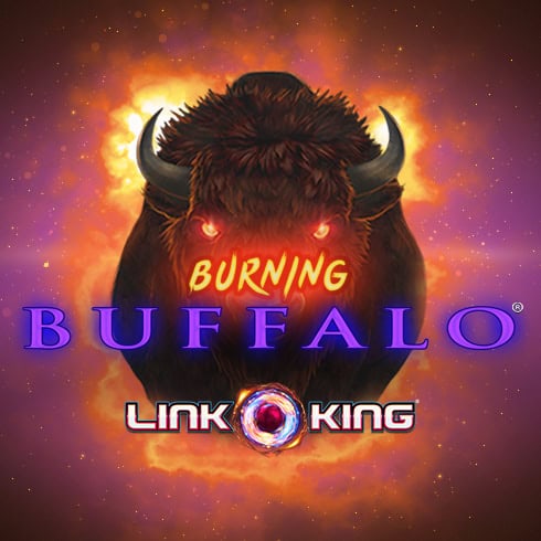 Link King Burning Buffalo