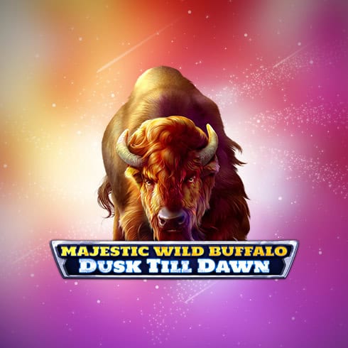 Majestic Wild Buffalo - Dusk Till Dawn