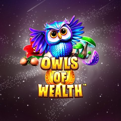 Owls of Wealth