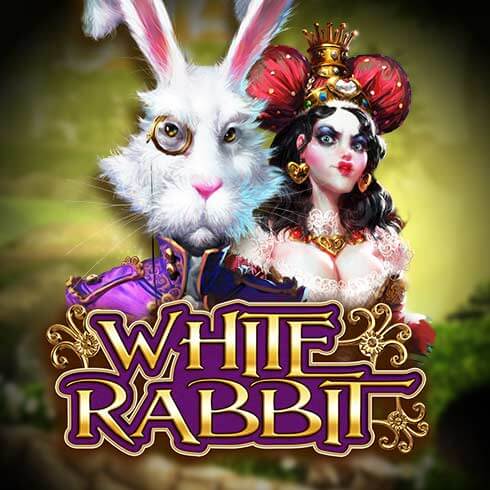 White Rabbit