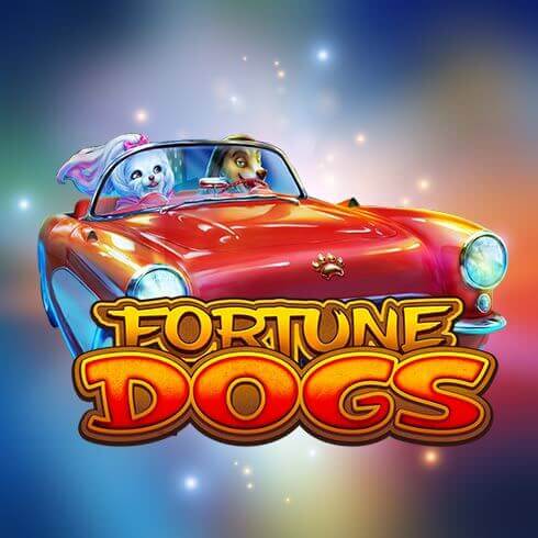 Fortune Dogs