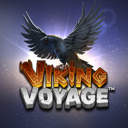 Viking Voyage