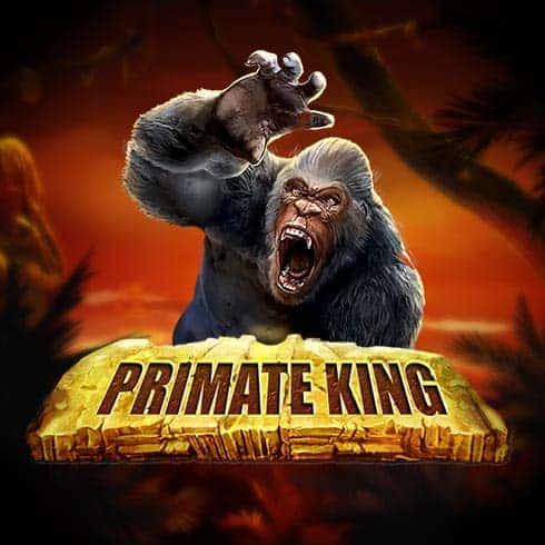 primate king slot