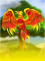 Fenix Play 27 Deluxe