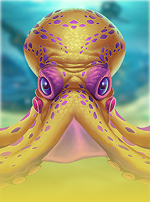 Octopus Treasure