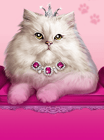 Candy, Cats and Cash