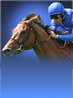 Frankie Dettori's Magic Seven Blackjack