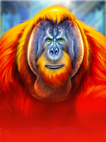 Gold Pile Orangutan