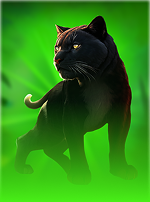 Mighty Wild Panther