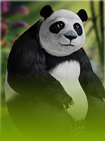 Panda Money