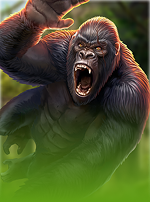 Primate King Megaways