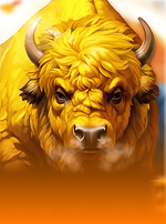 Buffalo Wealth hold & Win