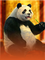 888 Panda