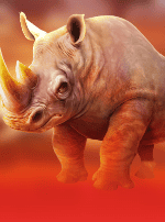 Raging Rhino Double Danger