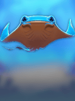Manta Mayhem
