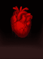 Death Becomes You™