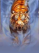 https://netbet.com.ro/